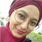 professeur bilingue en anglais , arabe et français niveau primaire et secondaire